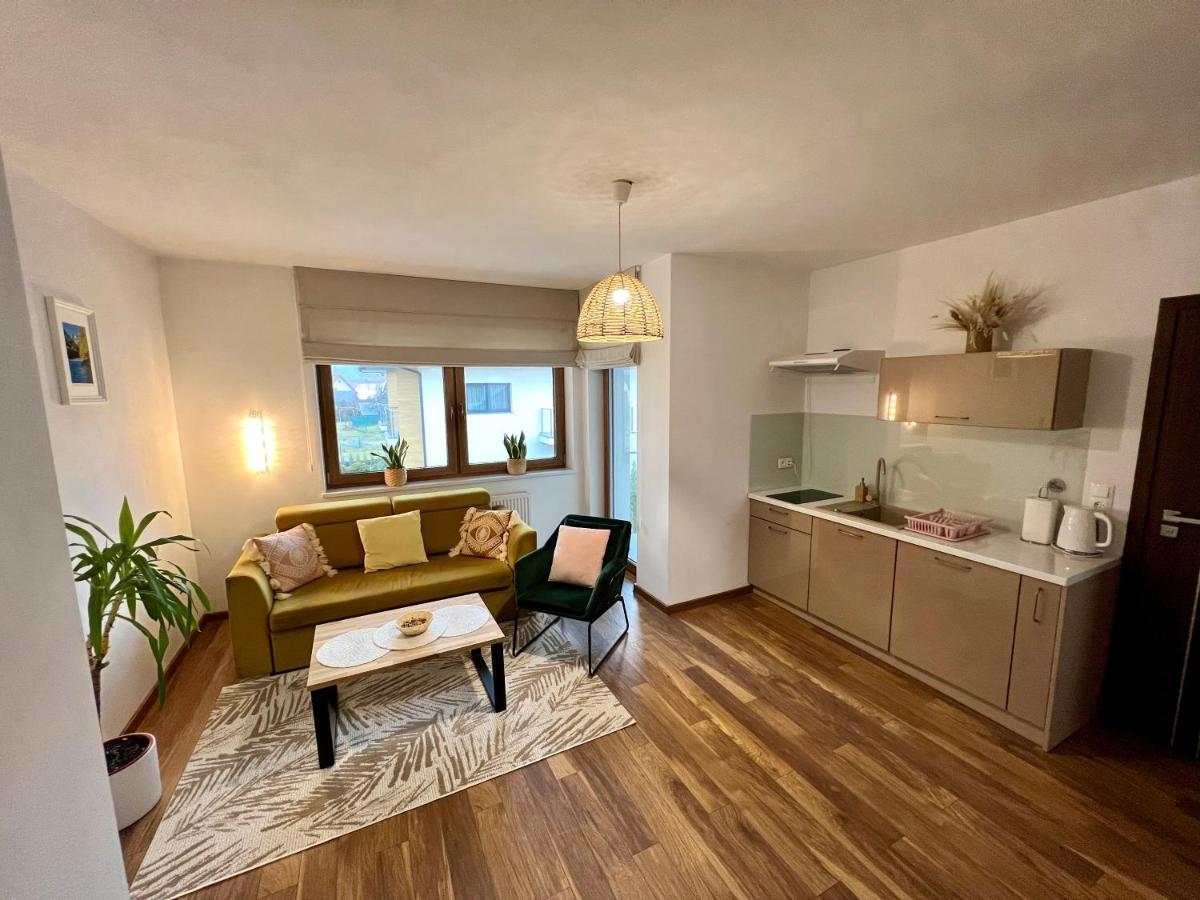 Willa Wojcik Apartamenty I Pokoje Sromowce Nizne Exterior photo